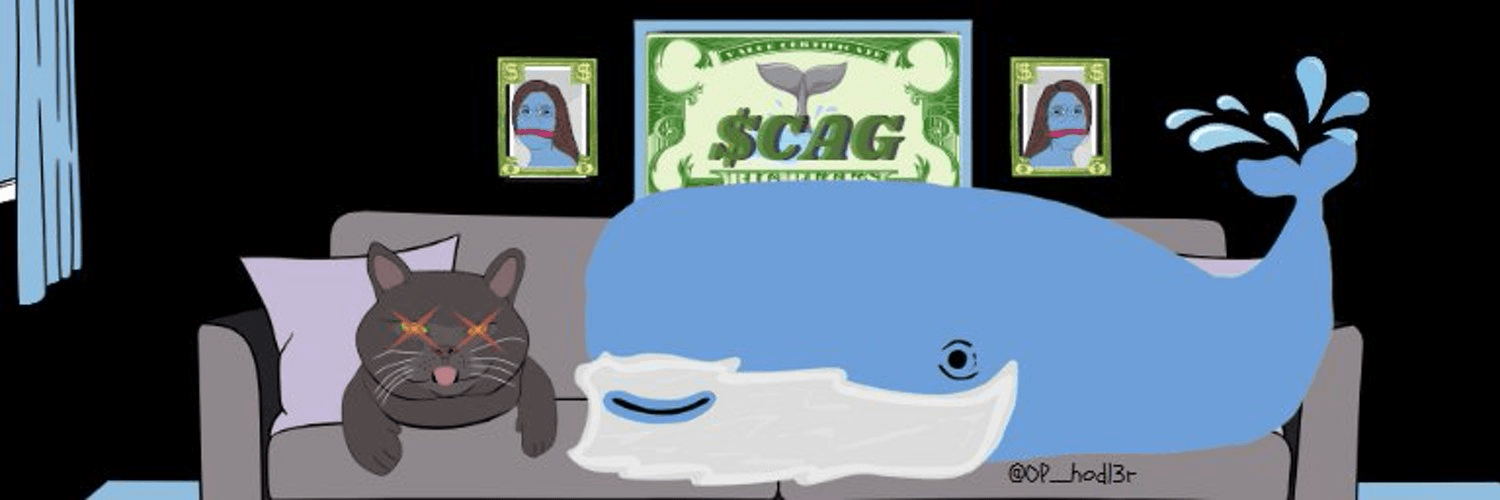 card-bg